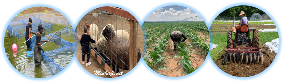 الأعمال المرتبطة بالزراعة الأعمال المرتبطة بالزراعة